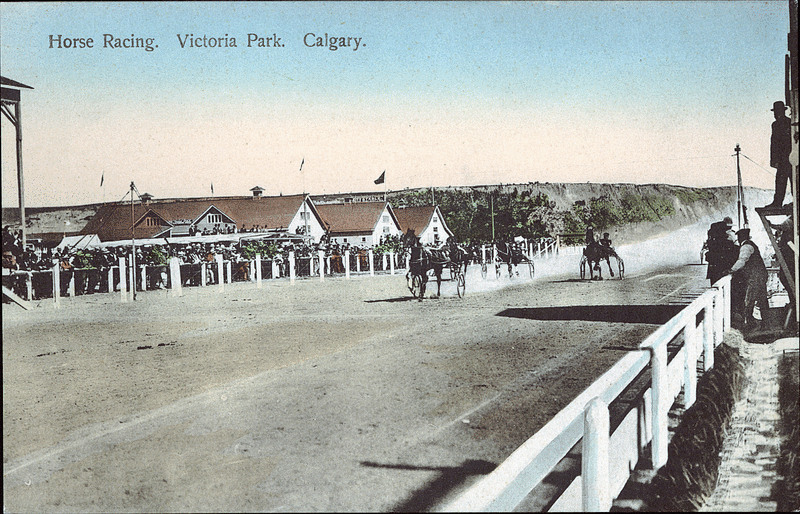 Horse Track Calgary