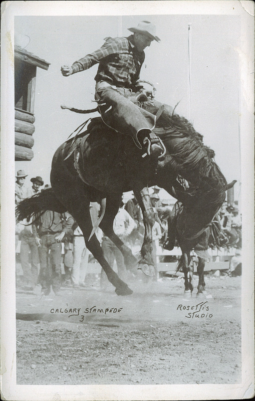 Postcard 6244: Rosettis Studio, Calgary Stampede ([between 1920 - 1940])