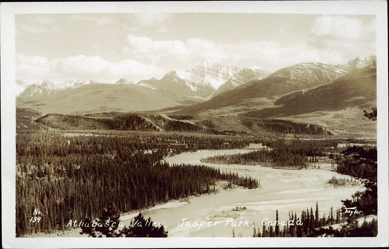 Postcard 7996 Athabasca Valley Jasper Park Canada Cca 1940
