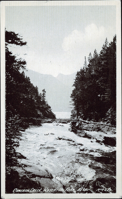 Postcard 9208: B.C. Printing & Litho Ltd, Cameron Creek, Waterton Park ...