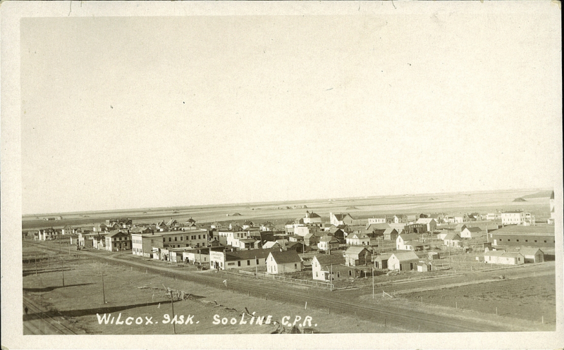 wilcox sask